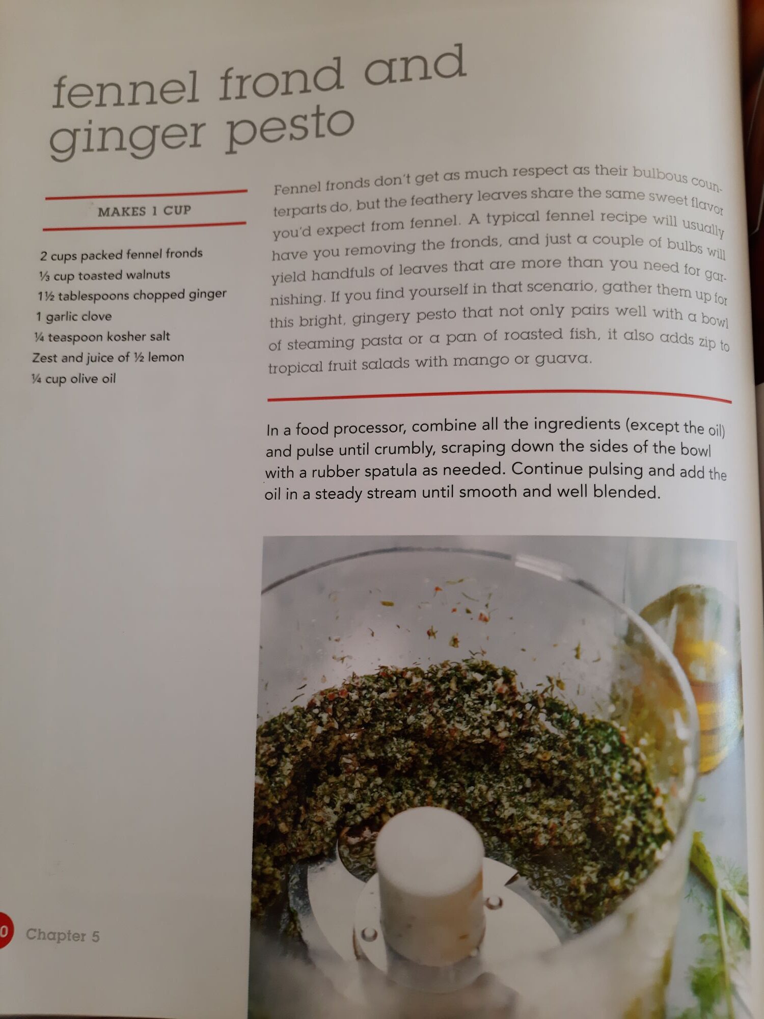 Fennel Recipe