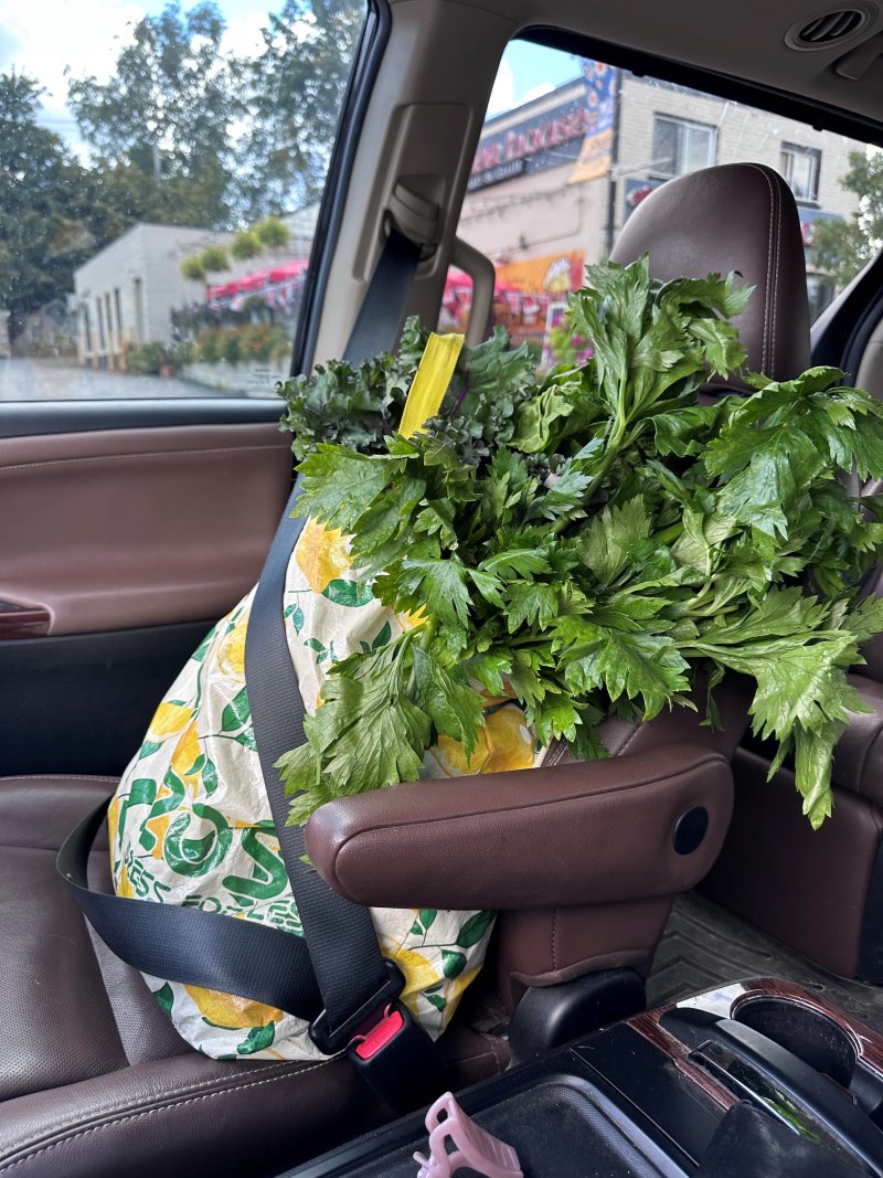 A bag of produce in the passenger seat